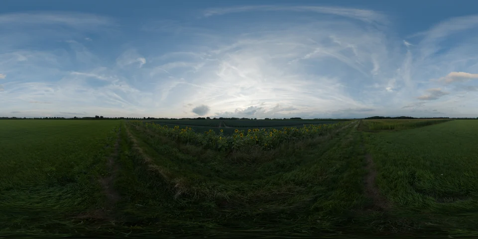 Evening sky