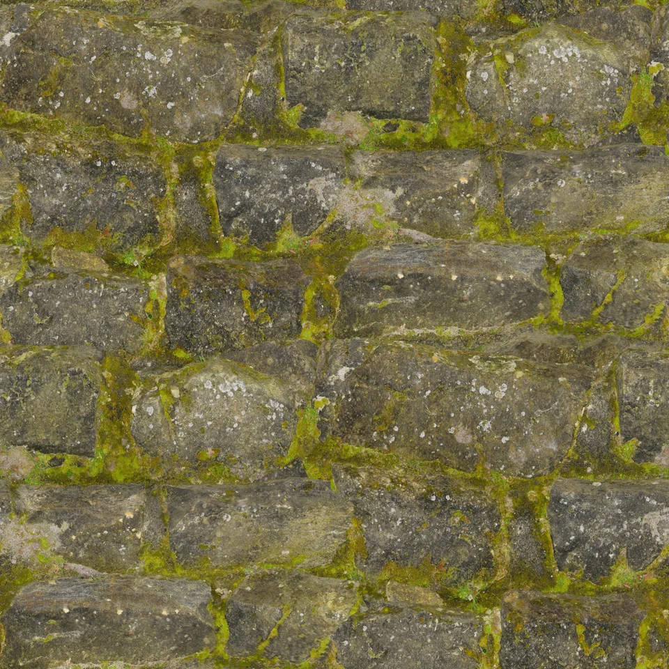 Mossy rock
