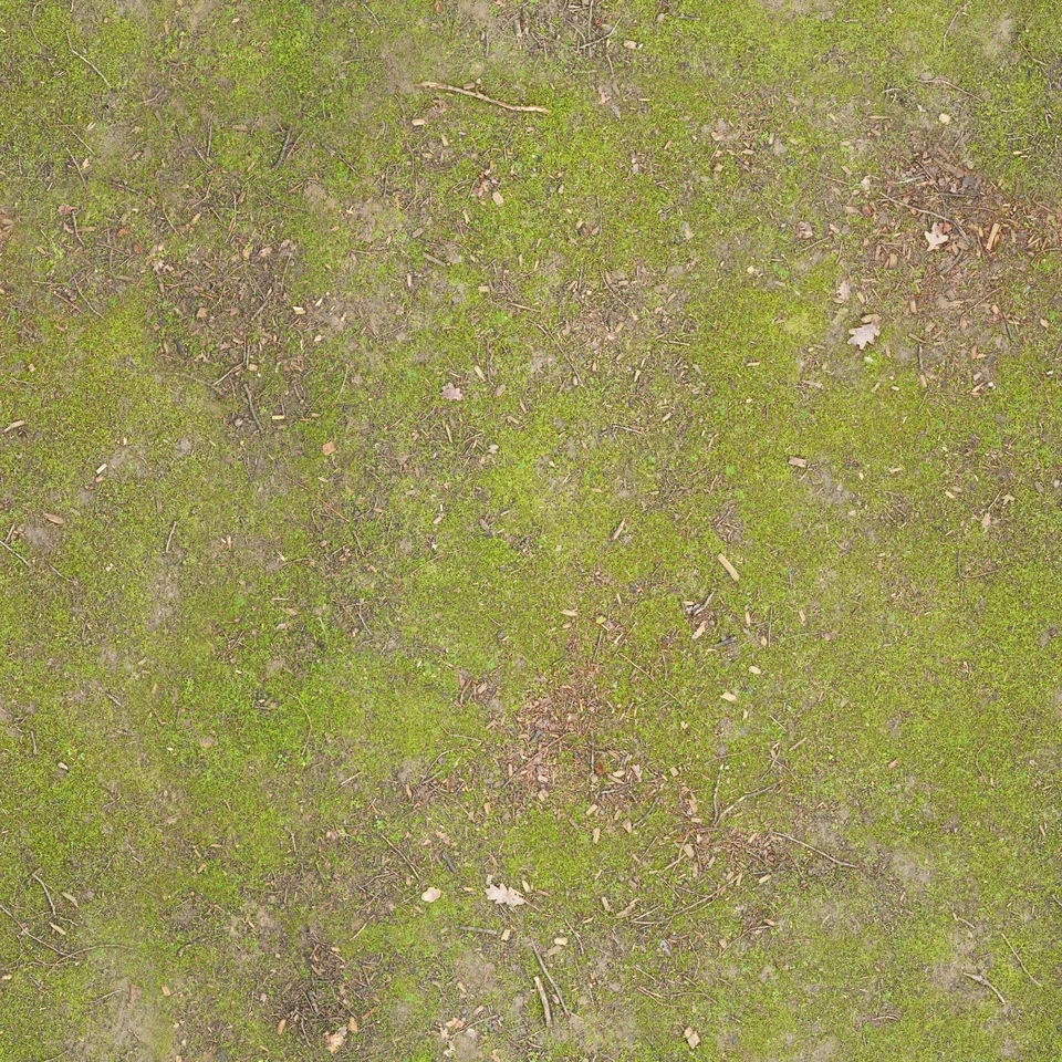 Woodland earth